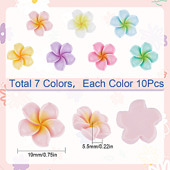 70Pcs 7 Colors Opaque Resin Cabochons&nbsp;RESI-SC0002-77