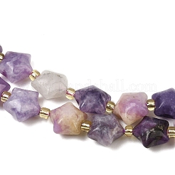 Natural Lepidolite Beads Strands&nbsp;G-Z080-A02-10mm