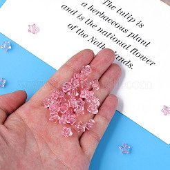 Transparent Acrylic Beads&nbsp;MACR-S373-45-B07