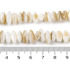 Natural Anomaly Freshwater Shell Beads Strands&nbsp;BSHE-S304-05B