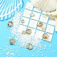 9Pcs 3 Styles Natural Paua Shell Connector Charms&nbsp;KK-YW0003-61