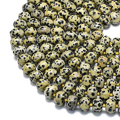 Natural Dalmatian Jasper Beads Strands&nbsp;G-P573-B12-01