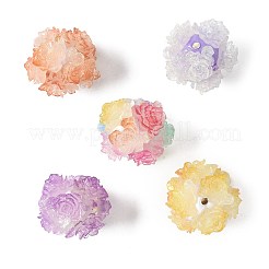 10Pcs 10 Colors Resin Beads&nbsp;RESI-FS0002-24B