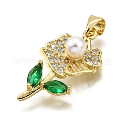 Rack Plating Brass Micro Pave Cubic Zirconia Pendants&nbsp;KK-K401-54G