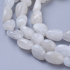 Natural Rainbow Moonstone Beads Strands&nbsp;X-G-P433-16
