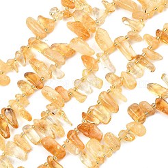 Heated Natural Citrine Beads Strands&nbsp;G-F821-C04-01