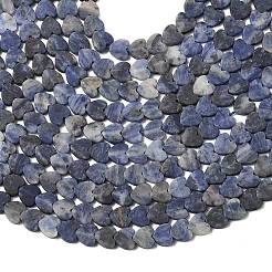 Natural Sodalite Beads Strands&nbsp;G-A272-A01-07