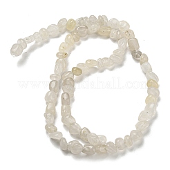 Natural White Jade Bead Strands&nbsp;G-F465-58
