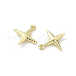 Alloy Pendants&nbsp;FIND-Z089-07G-01