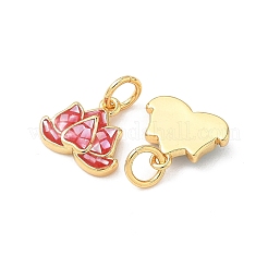 Rack Plating Brass & Shell Charms&nbsp;KK-I357-10G