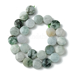 Natural Myanmar Jadeite Beads Strands&nbsp;G-A092-A01-02