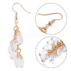 Dangle Earrings&nbsp;EJEW-JE04066