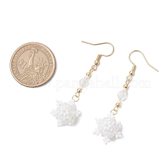 Glass Seed Beads Dnagle Earrings&nbsp;EJEW-MZ00501-01
