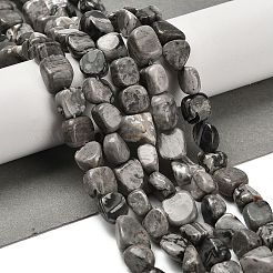 Natural Map Stone Beads Strands&nbsp;G-P497-01E-58