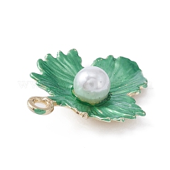 Alloy Enamel Pendants&nbsp;FIND-WH0110-113