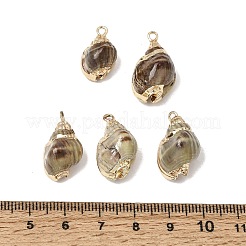 Brass & Natural Shell Pendants&nbsp;SH-CBA27C9-07
