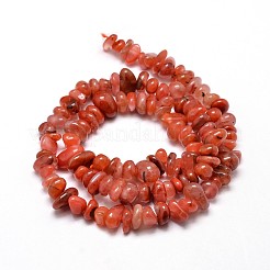Dyed Natural Carnelian Chip Beads Strands&nbsp;X-G-E271-74