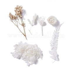 Dried Flowers&nbsp;X-DIY-D052-04