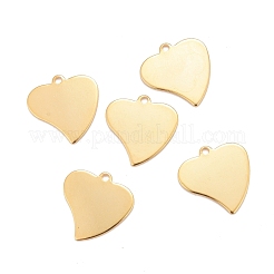 201 Stainless Steel Pendants&nbsp;STAS-K217-70G
