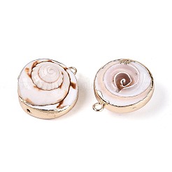 Electroplate Natural Shiva Eye Shell Pendants&nbsp;SSHEL-T018-13