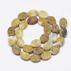 Natural Crazy Lace Agate Beads Strands&nbsp;G-T122-04C