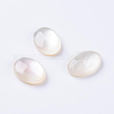 Shell Cabochons&nbsp;G-L470-15-1