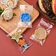 OPP Cellophane Bags&nbsp;OPC-R010-14x6cm-4