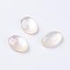Shell Cabochons&nbsp;G-L470-15-1