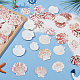 2 Styles Natural Shell&nbsp;SSHEL-WR0001-06B-4