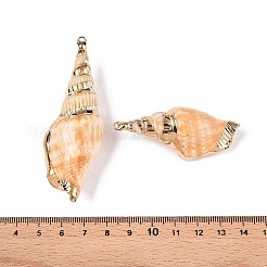 Natural Conch Shell Big Pendants&nbsp;SSHEL-N038-25