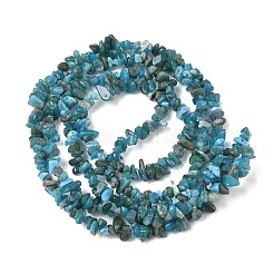 Natural Apatite Beads Strands&nbsp;G-G0003-B08-01