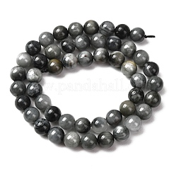 Natural Hawk's Eye Beads Strands&nbsp;G-L478-03-8mm-01