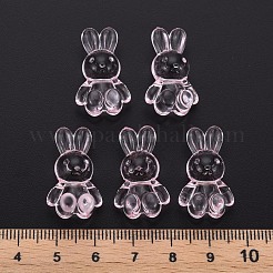 Transparent Acrylic Beads&nbsp;MACR-S373-81-B03