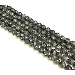 Electroplate Natural Labradorite Beads Strands&nbsp;G-L150-8mm-01