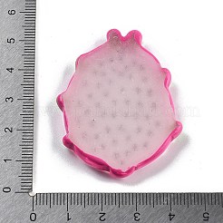 Luminous Resin Fruit Slice Display Decoration&nbsp;DJEW-B014-03