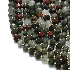 Natural Africa Bloodstone Beads Strands&nbsp;G-P573-A41-01
