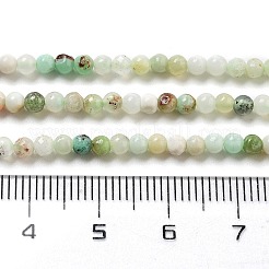 Natural Serpentine Beads Strands&nbsp;G-G161-D24-01