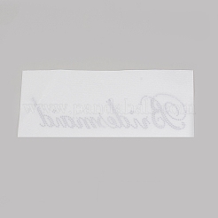 Hotfix Glass Rhinestone&nbsp;LS-DIY-WH0224-98