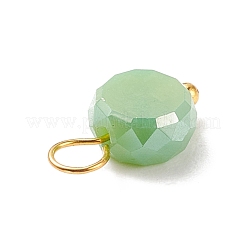 Electroplate Opaque Glass Charms&nbsp;PALLOY-JF01538