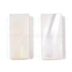 Natural White Shell Cabochons&nbsp;SSHEL-T017-07