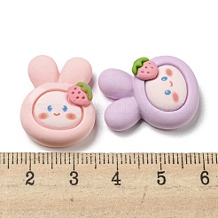 Opaque Resin Decoden Cabochons&nbsp;RESI-F052-A03