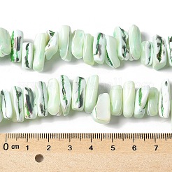 Dyed Natural Trochus Shell Beads Strands&nbsp;SSHEL-C013-09I