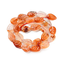 Natural Agate Carved Beads Strands&nbsp;G-H024-B01-01