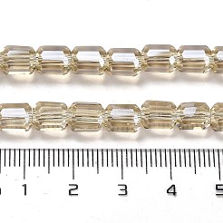 Electroplate Glass Beads Strands&nbsp;EGLA-D030-19I