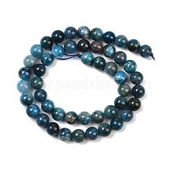 Round Natural Apatite Beads Strands&nbsp;G-K068-02-8mm