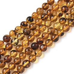 Natural Amber Beads Strands&nbsp;G-L095-B01-5mm-04