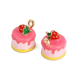 Alloy Enamel Charms&nbsp;AL-CBAC5EF-02G-03