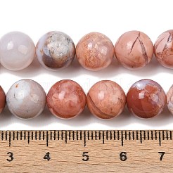 Natural Pink Agate Beads Strands&nbsp;G-K350-C02-10mm
