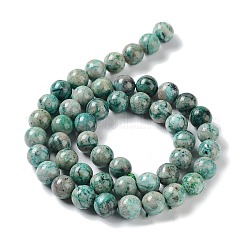 Natural Chrysocolla Beads Strands&nbsp;G-C093-A01-02