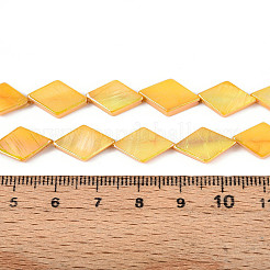 Dyed Natural Freshwater Shell Beads Strands&nbsp;SHEL-T020-13C